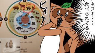 Thumbnail of post image 014