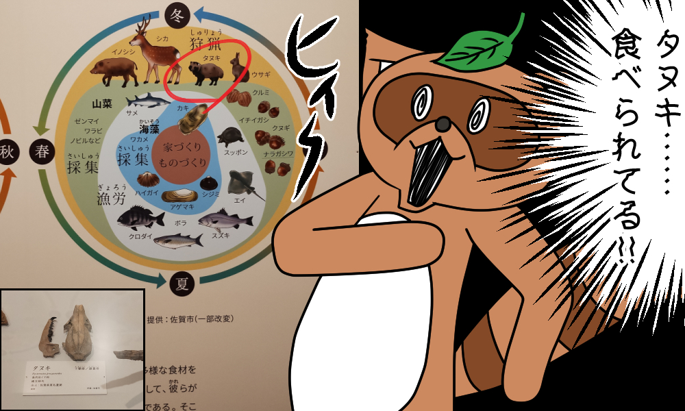 タヌキ、縄文時代のタンパク源だった!?