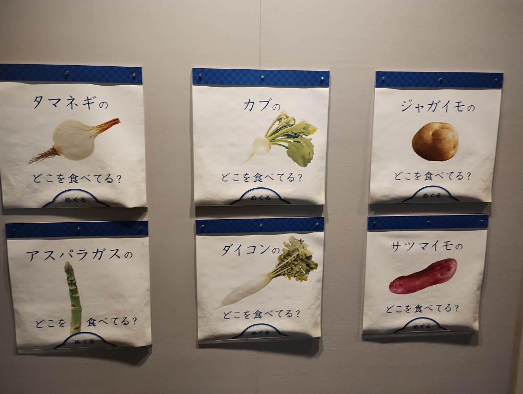 普段食べている野菜は根なのか、葉なのか、茎なのかを答えるクイズ
