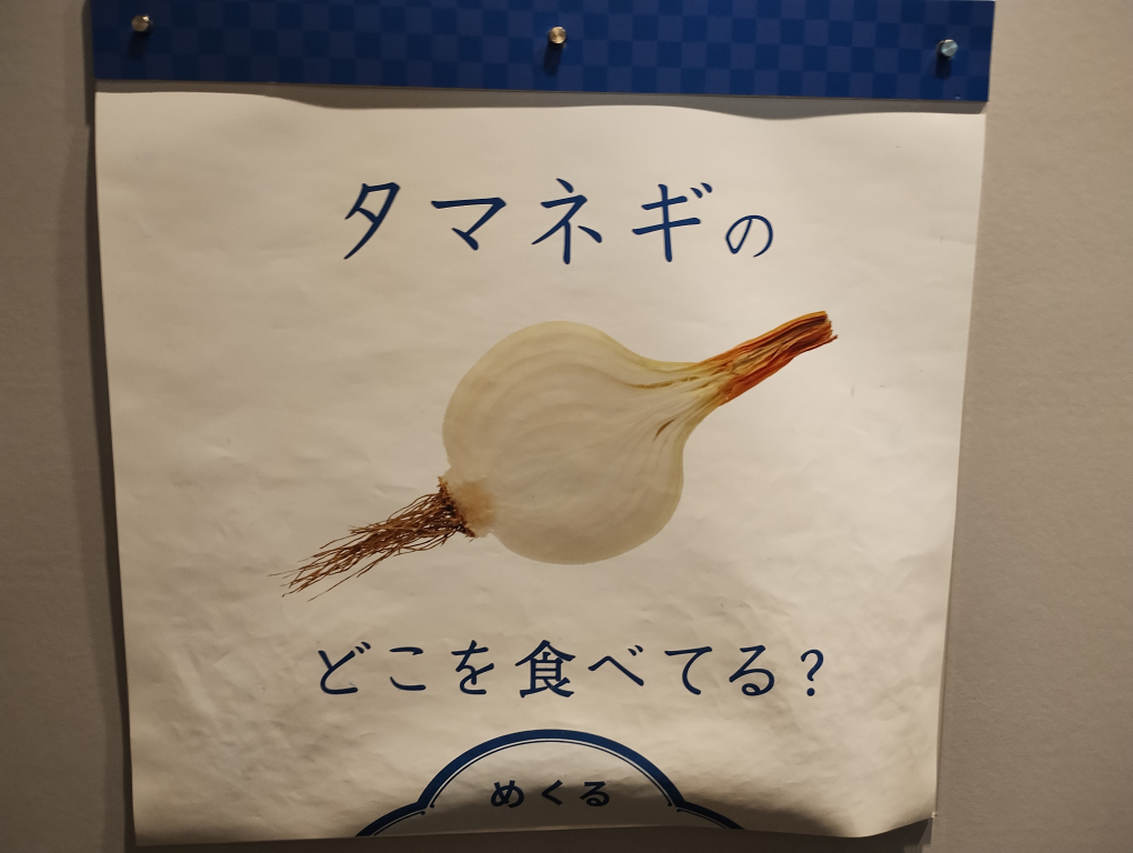 タマネギは根・葉・茎のどこを食べているのか?