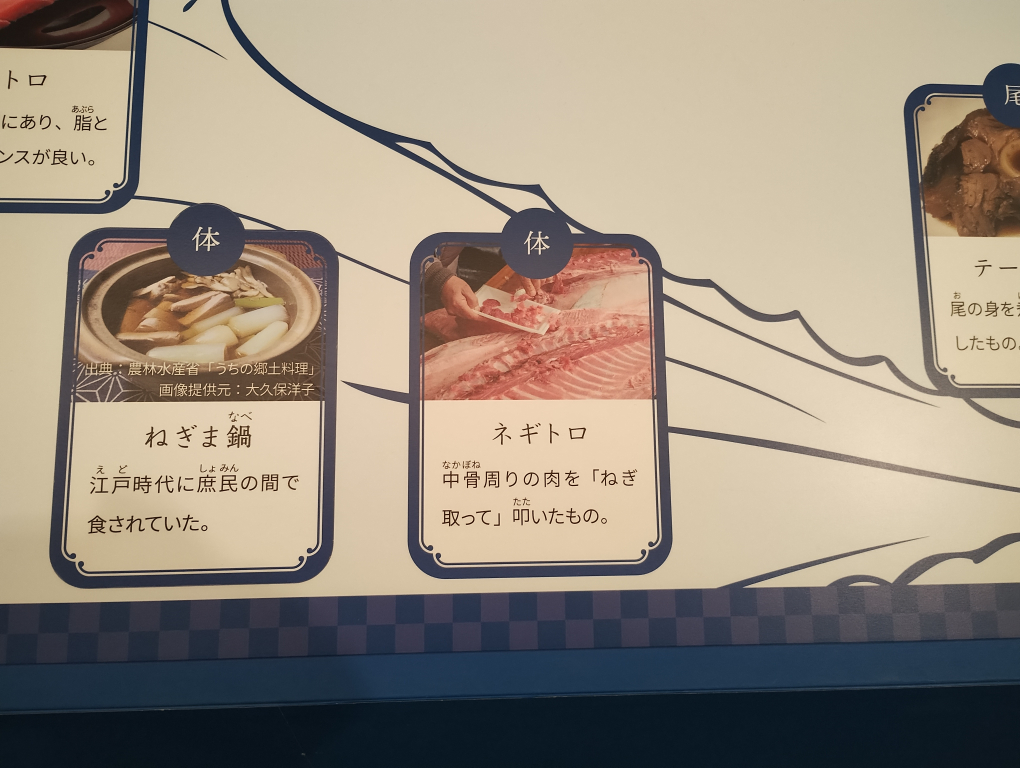 ネギトロの語源を知る