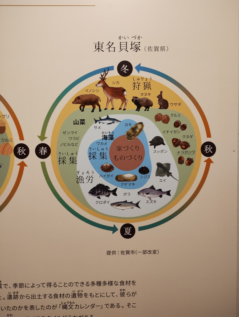 縄文時代の食料について